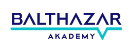 Logo de Balthazar Akademy : représentation visuelle de leur engagement en excellence éducative, sur fond transparent.