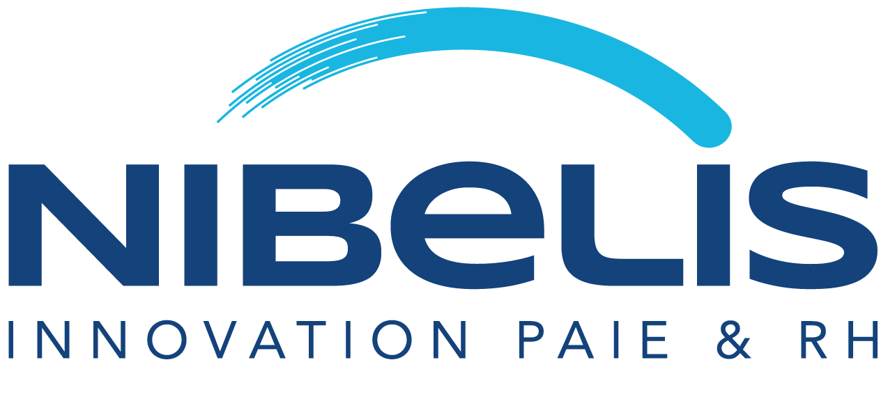 Logo de Nibelis Innovation Paie et RH : représentation visuelle de leur expertise en solutions innovantes pour la paie et les RH, sur fond transparent.